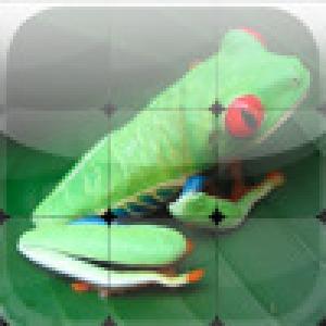  SlidePix (2009). Нажмите, чтобы увеличить.