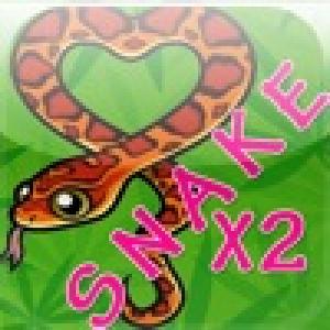  SnakeX2 (2009). Нажмите, чтобы увеличить.
