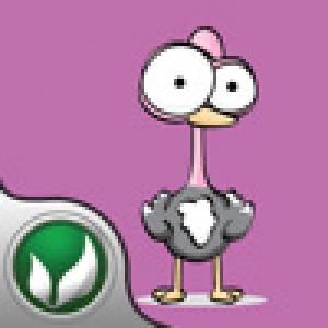  Turkey Hop (2010). Нажмите, чтобы увеличить.