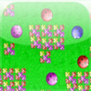  Your Garden (2009). Нажмите, чтобы увеличить.