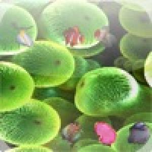  Catch Me If U Can (2010). Нажмите, чтобы увеличить.