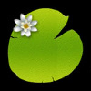  Steppin (2009). Нажмите, чтобы увеличить.