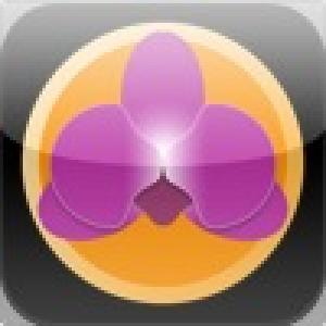  AcidSpider HD (2010). Нажмите, чтобы увеличить.