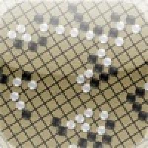  Ancient Go (2010). Нажмите, чтобы увеличить.