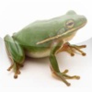  AniMalToe (2009). Нажмите, чтобы увеличить.