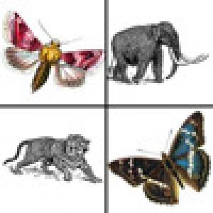  Animals of Olde (2010). Нажмите, чтобы увеличить.