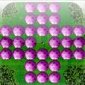  a Bugs Peg ! (2009). Нажмите, чтобы увеличить.