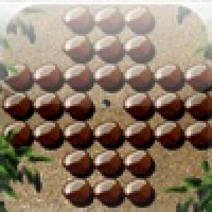  a Coconut Peg (2009). Нажмите, чтобы увеличить.