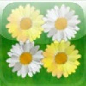  a Daisy Reversi ! (2009). Нажмите, чтобы увеличить.