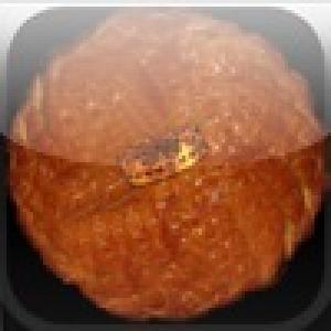  a Galette des Rois ! (2009). Нажмите, чтобы увеличить.