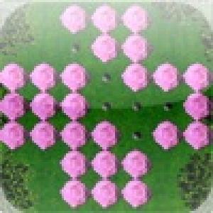  a Pink Rose Peg ! (2010). Нажмите, чтобы увеличить.