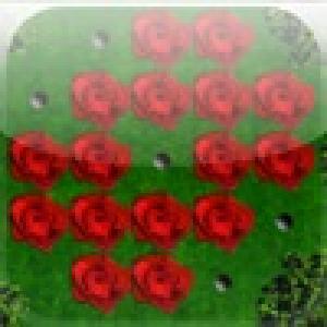  a Red Rose Peg ! (2009). Нажмите, чтобы увеличить.