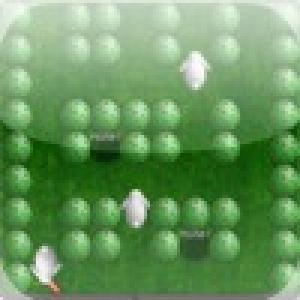  a White Rabbits in the Garden ! (2010). Нажмите, чтобы увеличить.