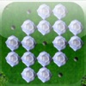  a White Rose Peg ! (2010). Нажмите, чтобы увеличить.