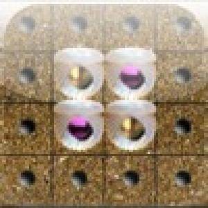  aaah! a Pearls Reversi (2009). Нажмите, чтобы увеличить.