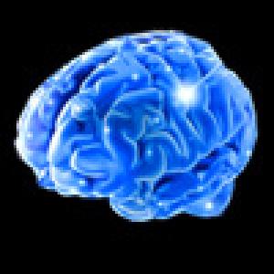  Brain Gym Premium (2009). Нажмите, чтобы увеличить.