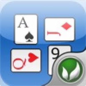  Crazy Quilt (2010). Нажмите, чтобы увеличить.