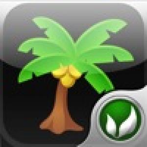  Finger Stone (2009). Нажмите, чтобы увеличить.