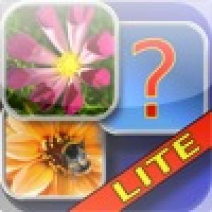  FlipMemory (2010). Нажмите, чтобы увеличить.