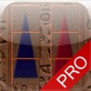  FlippyrPro (2009). Нажмите, чтобы увеличить.