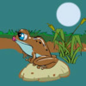  Froggy (2009). Нажмите, чтобы увеличить.