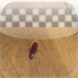  GoGoRoach (2009). Нажмите, чтобы увеличить.