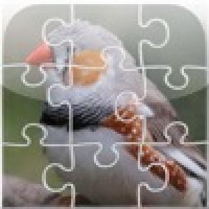 Jigsaw Birds (2010). Нажмите, чтобы увеличить.