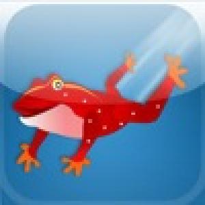  LeapFrog (2009). Нажмите, чтобы увеличить.