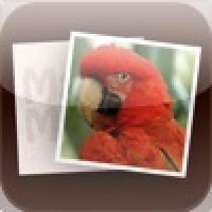  Match Match - The Game (2010). Нажмите, чтобы увеличить.