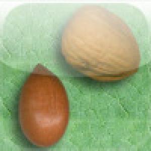  Oh Nuts (2009). Нажмите, чтобы увеличить.