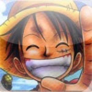  One Piece Flip (2010). Нажмите, чтобы увеличить.