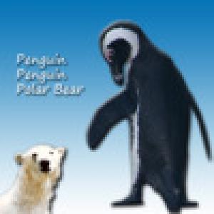  Penguin Penguin Polar Bear - Memory game for children and families (2010). Нажмите, чтобы увеличить.