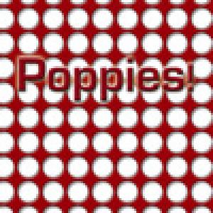  Poppies! (2010). Нажмите, чтобы увеличить.