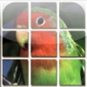  Slide Me:Birds (2009). Нажмите, чтобы увеличить.