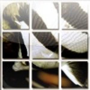  SlideMe:Fish (2009). Нажмите, чтобы увеличить.