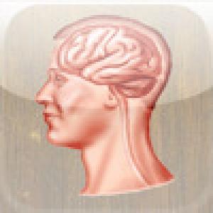  Speed Memory (2009). Нажмите, чтобы увеличить.