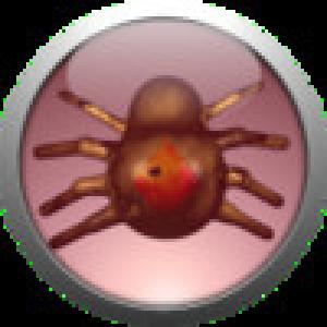  Spyder (2010). Нажмите, чтобы увеличить.