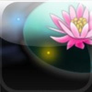  Sweet Pairs (2009). Нажмите, чтобы увеличить.