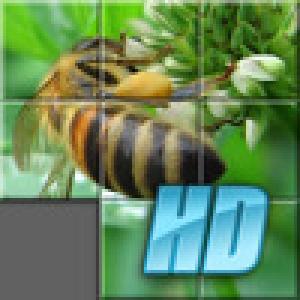  slidR HD (2010). Нажмите, чтобы увеличить.