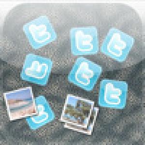  Twittwin (2009). Нажмите, чтобы увеличить.