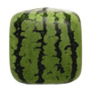  Watermelon Chess (2010). Нажмите, чтобы увеличить.