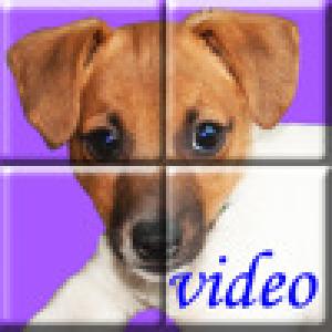  ZipPuzzle Video (2009). Нажмите, чтобы увеличить.