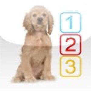  10 Puppies (2010). Нажмите, чтобы увеличить.