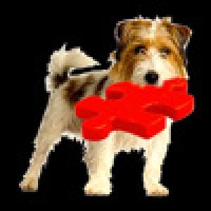  A Pocket Puzzle Puppies (2010). Нажмите, чтобы увеличить.