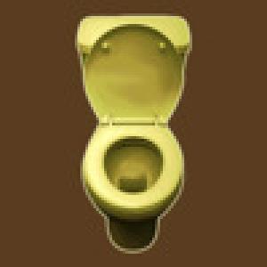  A Stupid Puzzle - Toilet Edition (2010). Нажмите, чтобы увеличить.