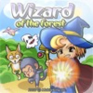  A Wizard of the forest (2010). Нажмите, чтобы увеличить.