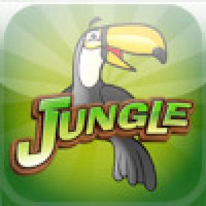  Across the Jungle (2008). Нажмите, чтобы увеличить.