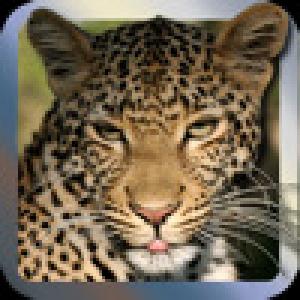  African Adventure (2010). Нажмите, чтобы увеличить.