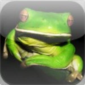  Amazing Wild Nature Puzzle (2010). Нажмите, чтобы увеличить.