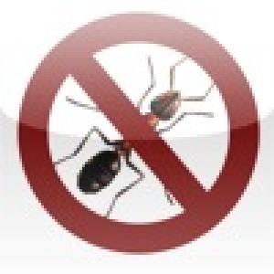  AmeisenJagd (2010). Нажмите, чтобы увеличить.